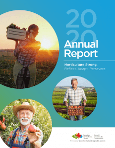 2020-Annual-Report