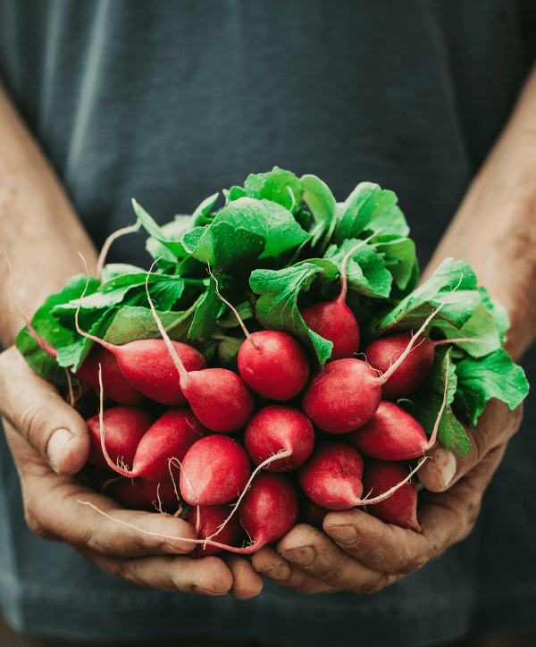 Producteurs de fruits et légumes du Canada